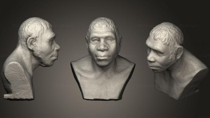 Anatomy of skeletons and skulls (Head model, ANTM_0631) 3D models for cnc